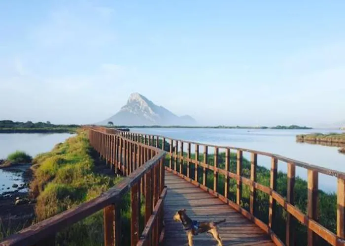 Проживання в сім'ї Pinelopi *