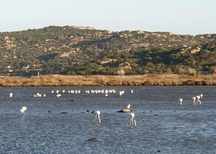 Habitación en casa particular Pinelopi Olbia