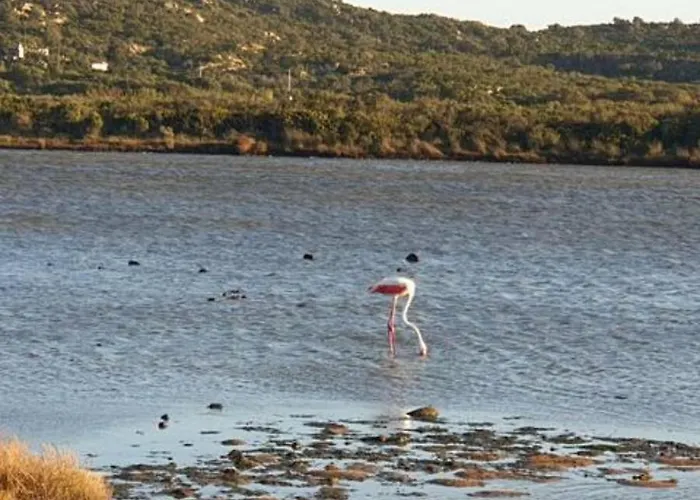 Habitación en casa particular Pinelopi